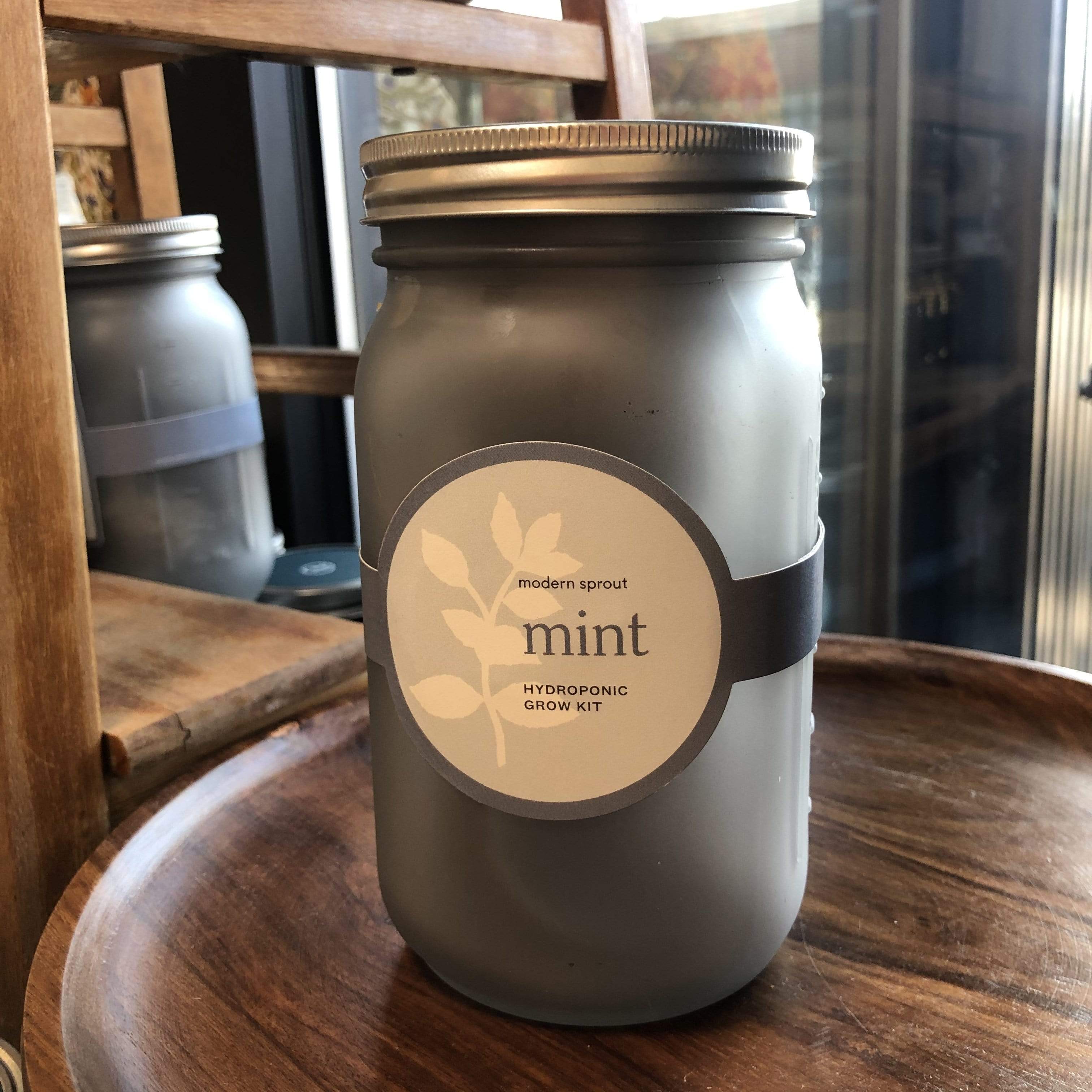 Mint Garden Jar - PORCH
