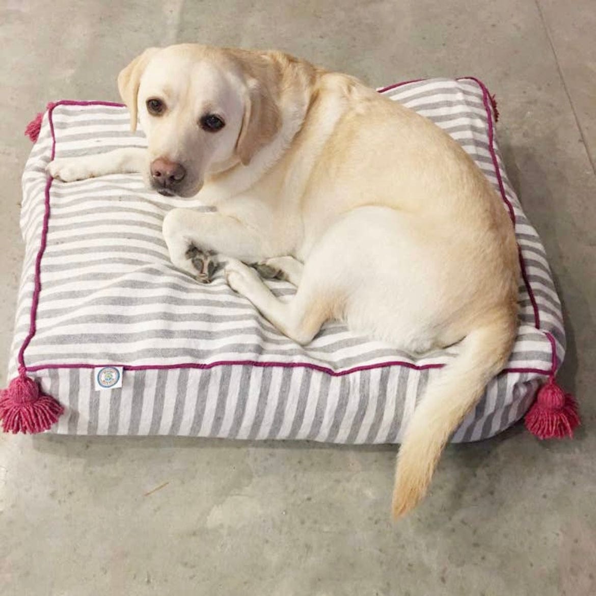 Martha Pet Bed/Floor Cushion - PORCH