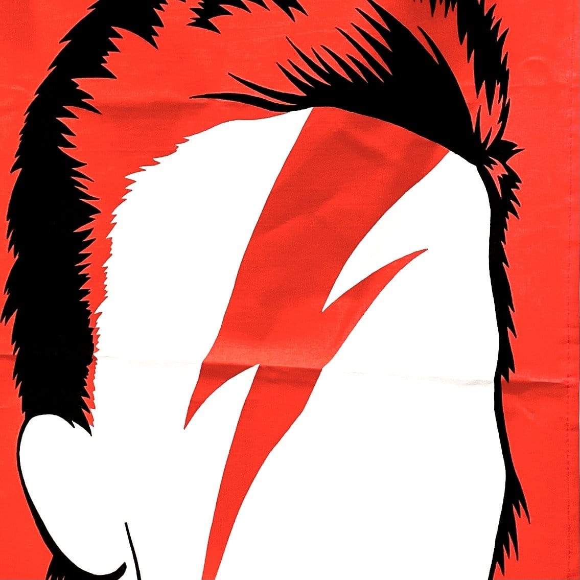David Bowie Music Icon Tea Towel - PORCH